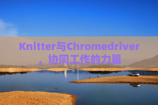 Knitter与Chromedriver，协同工作的力量